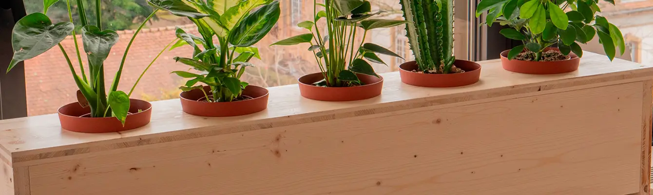 Slide #1 copie copy Slide background