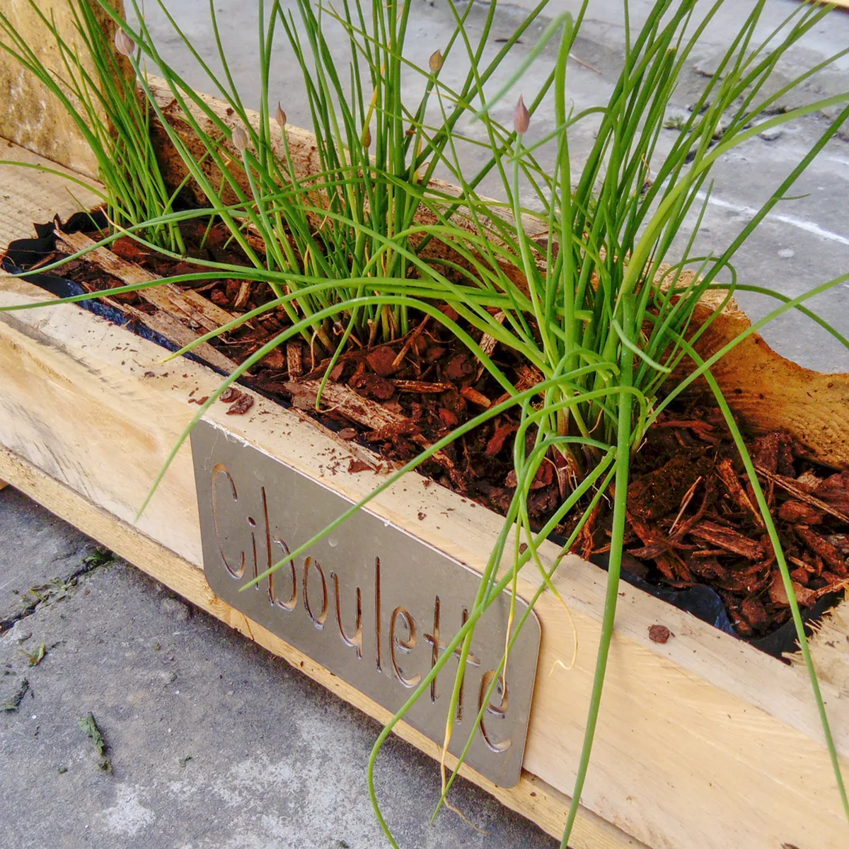 Plaque pour Jardinière