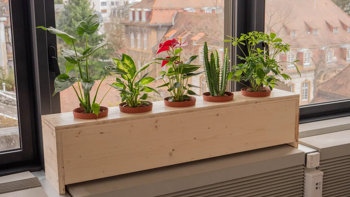 Solid wood planter - Spruce plywood